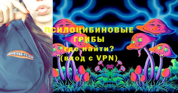 индика Балахна