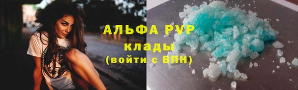 индика Балахна